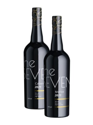 Seven case #2